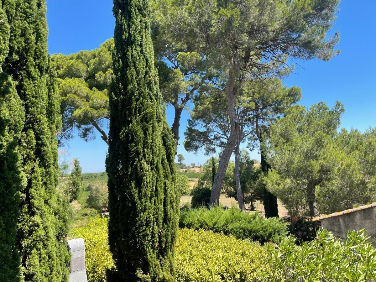 Domaine De Beaumont Villa Agde Dış mekan fotoğraf