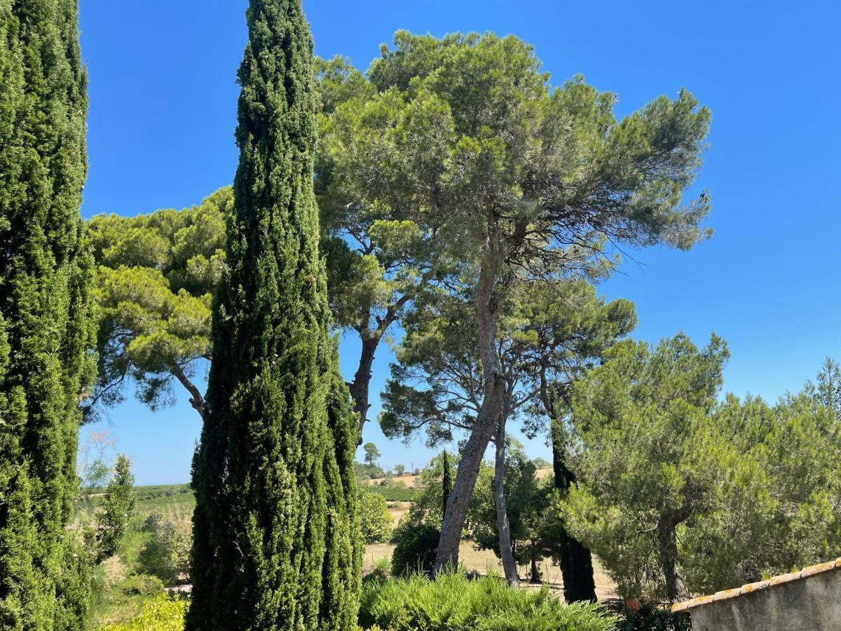 Domaine De Beaumont Villa Agde Dış mekan fotoğraf
