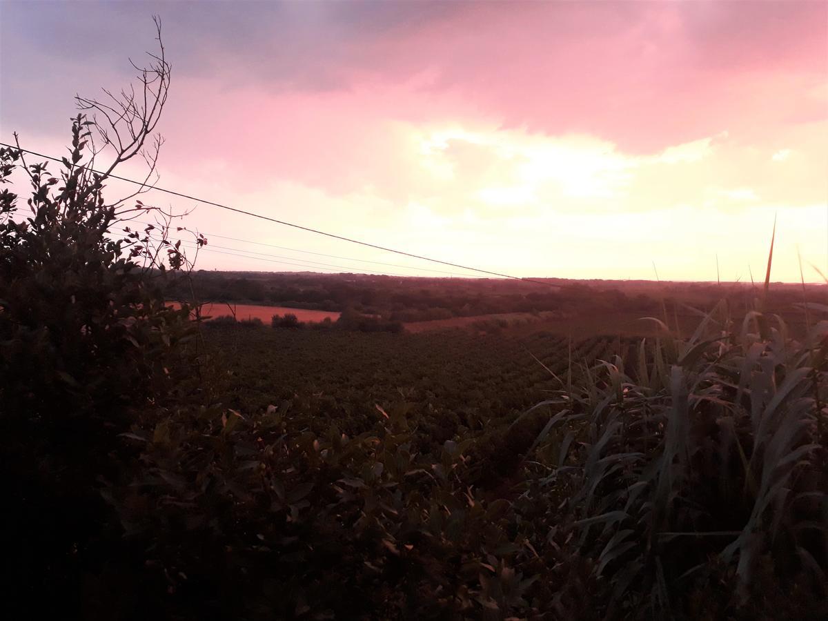 Domaine De Beaumont Villa Agde Dış mekan fotoğraf